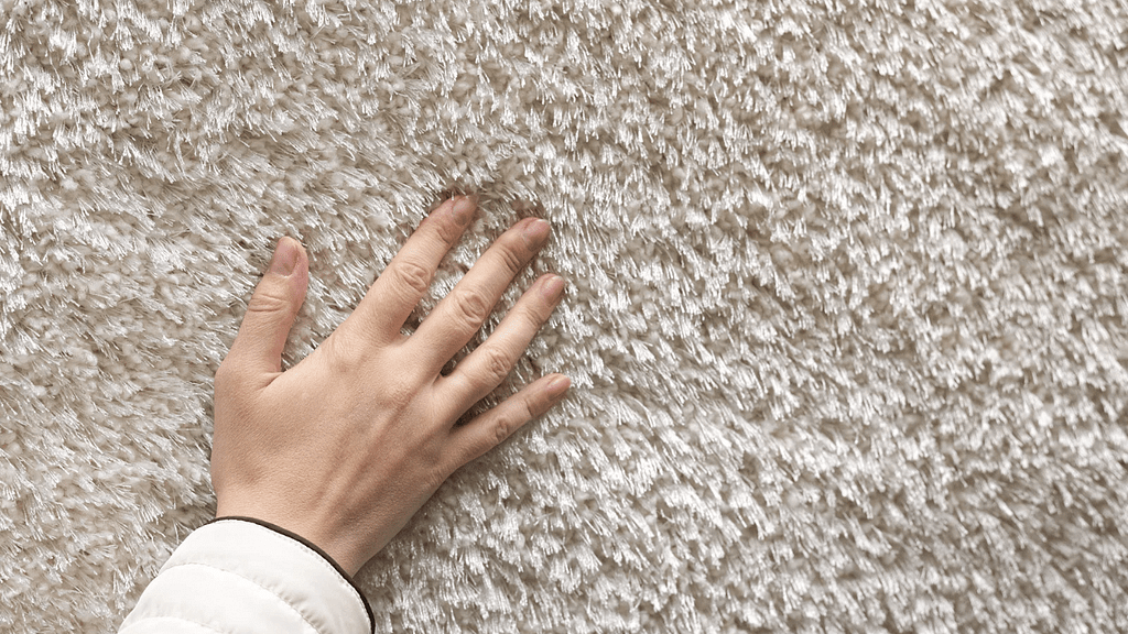 cheap carpet cleaning melbourne