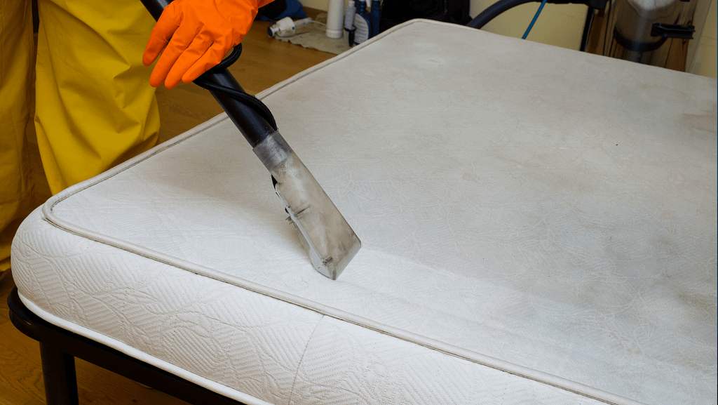 Upholstery Cleaning Companies