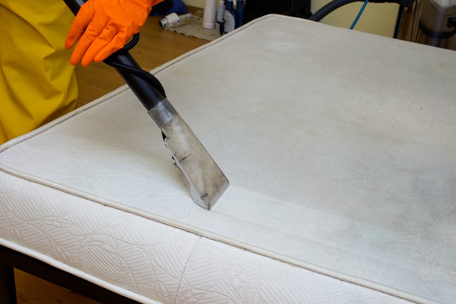 Professional sofa cleaning services