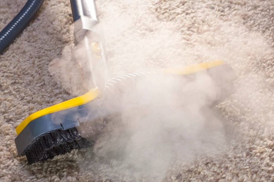 Old rental carpets look dirty after cleaning