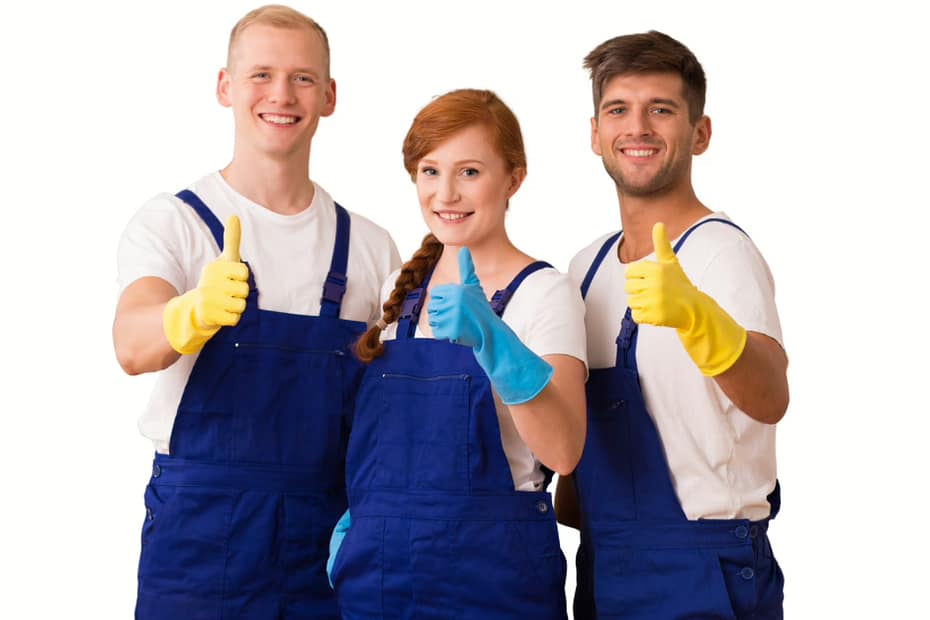 Which type of professional carpet cleaning is best?