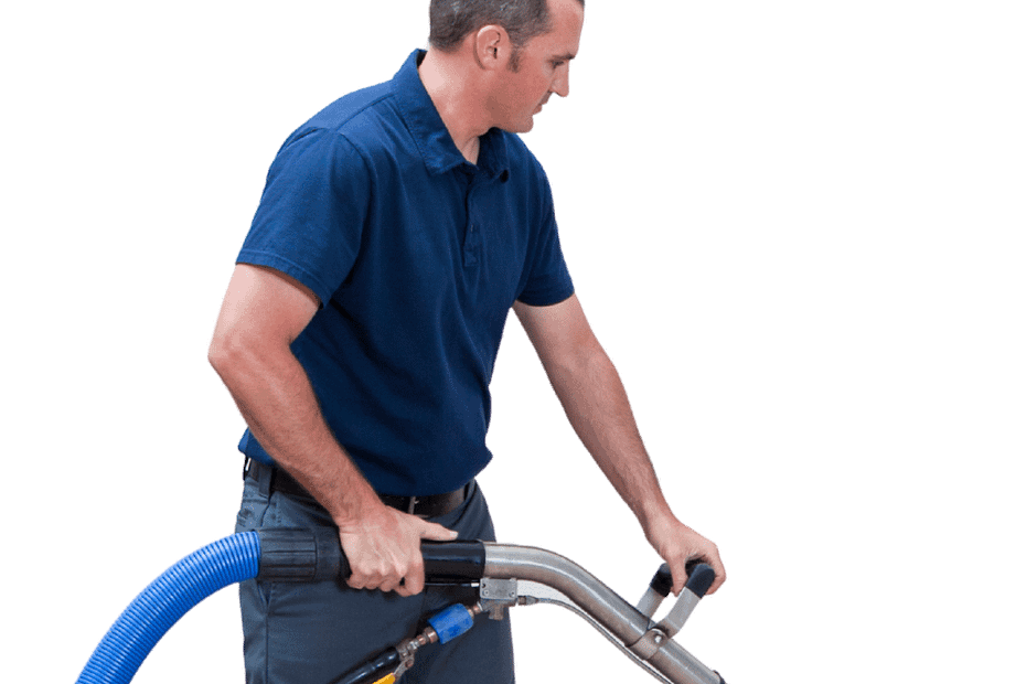 professional carpet steam cleaning