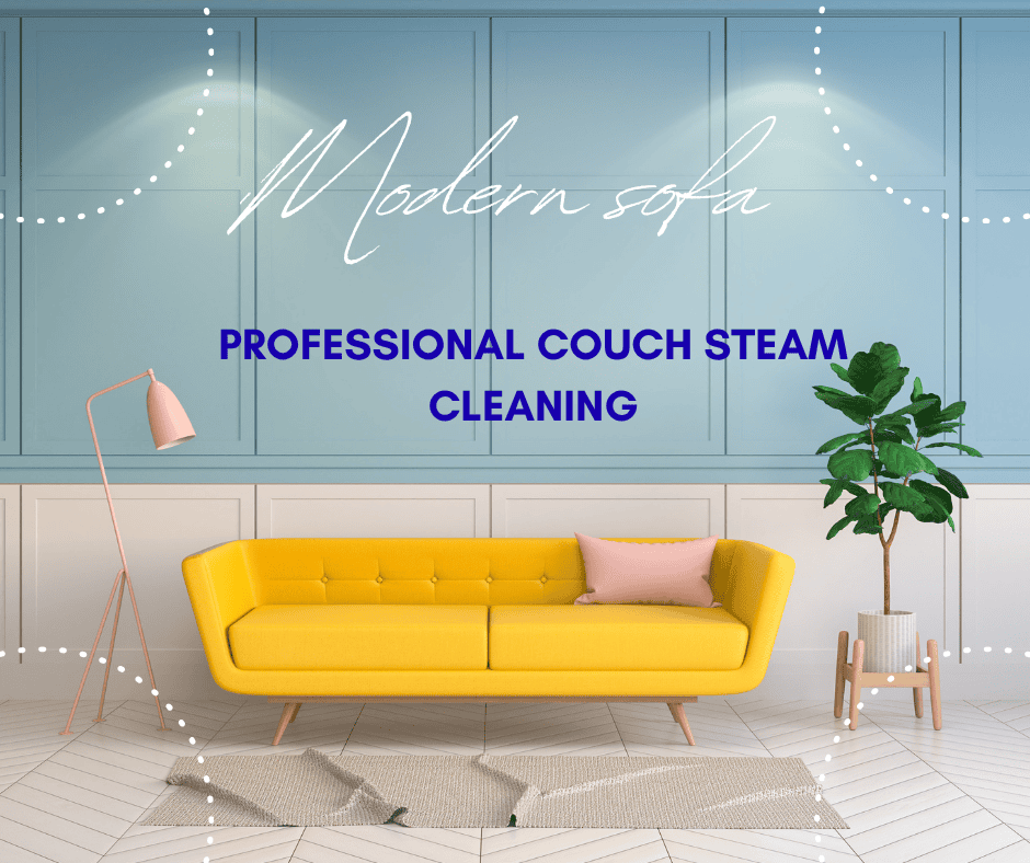 professional couch steam cleaning