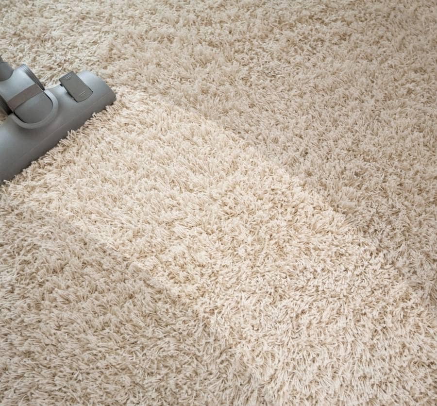 Before and After Professional Cleaning Results