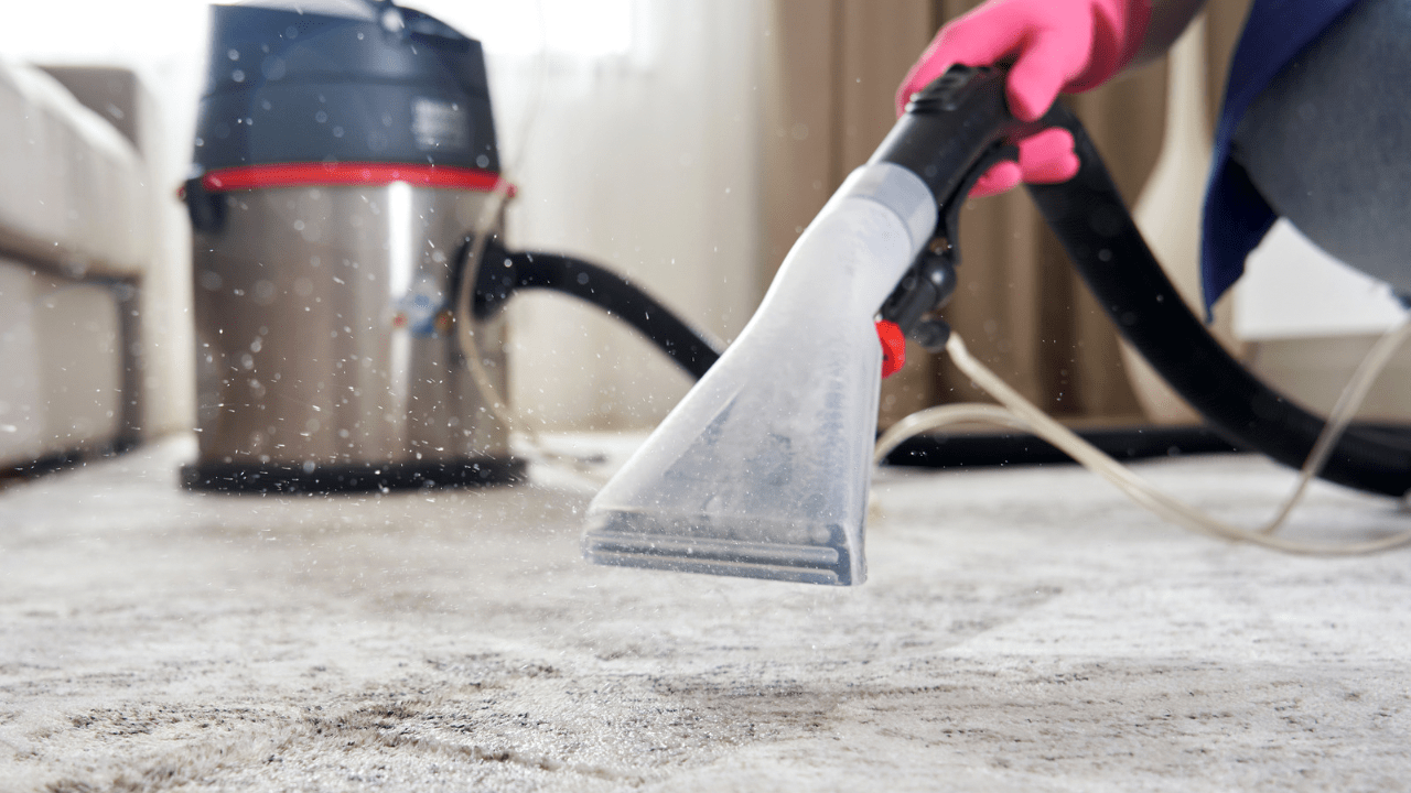DIY vs Professional Carpet Steam Cleaning Comparison
