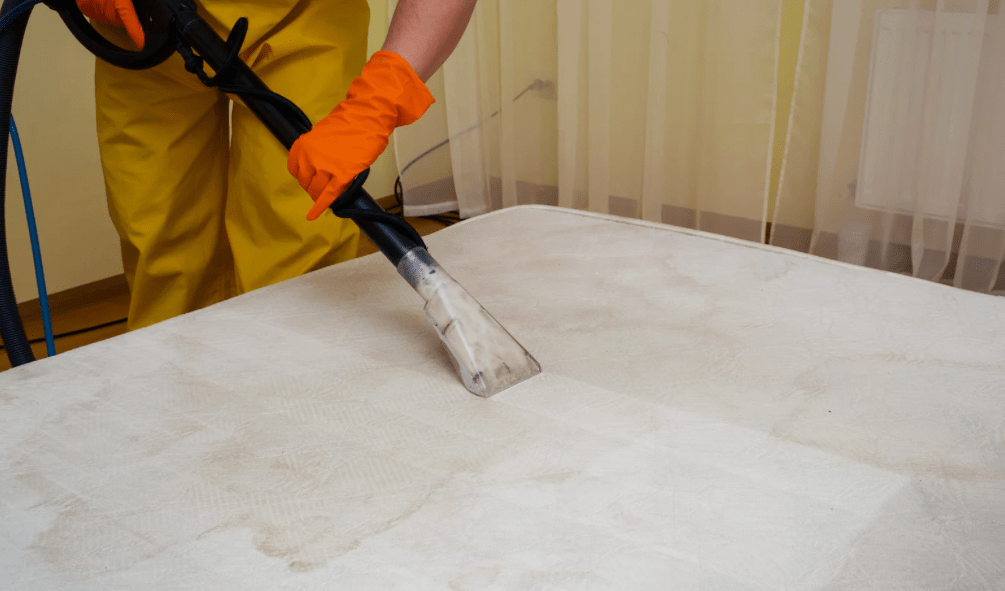 clean mattress peed on dried