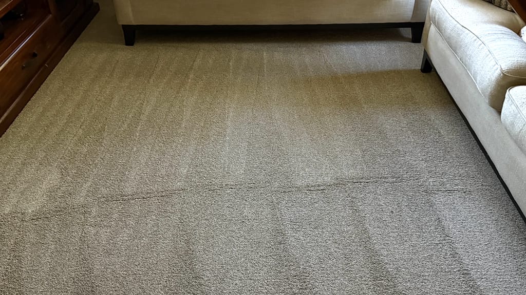 Business carpet cleaning Melbourne