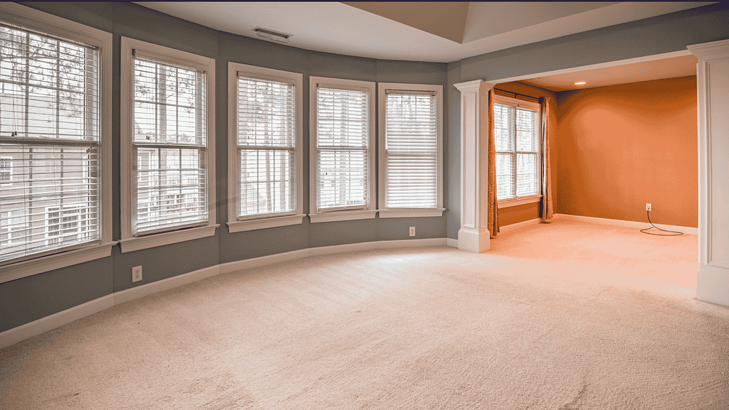 steam cleaning professionals near me