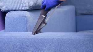 Professional Sofa cleaning near me