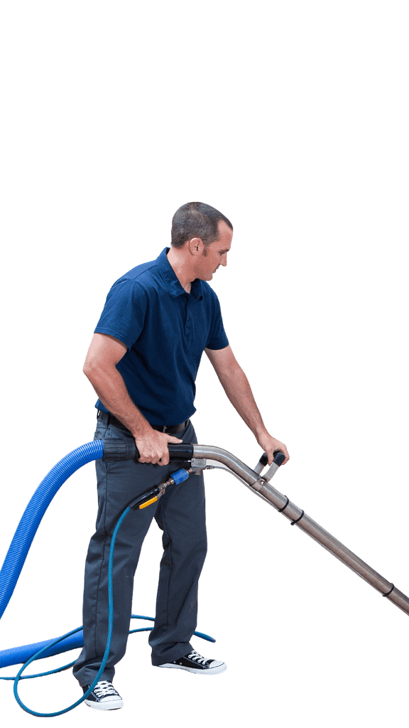 carpet steam cleaning services