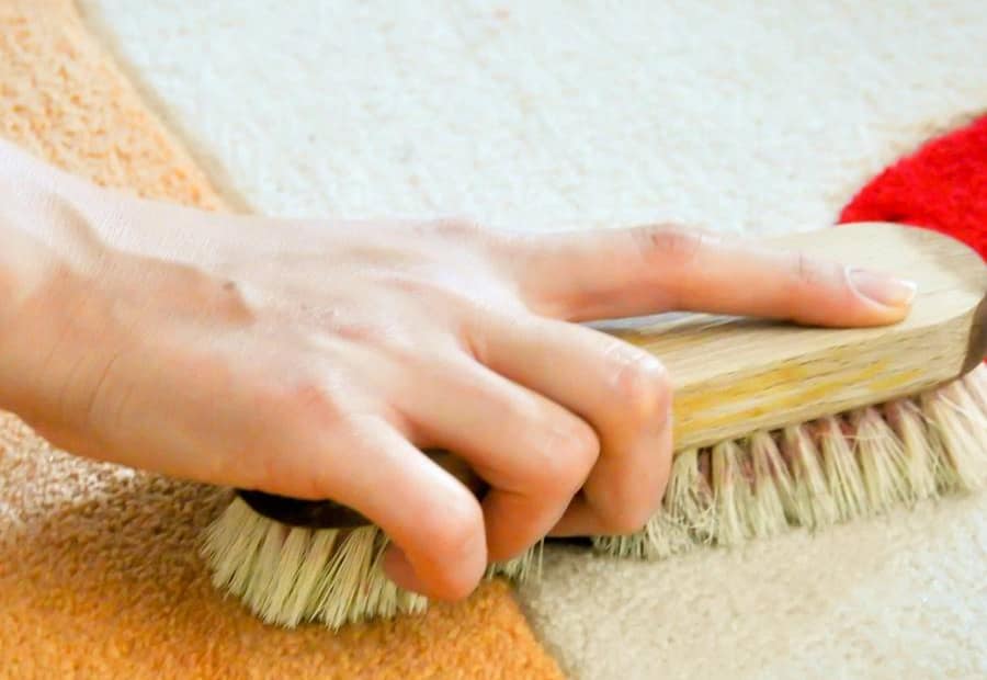 End of lease carpet cleaning services