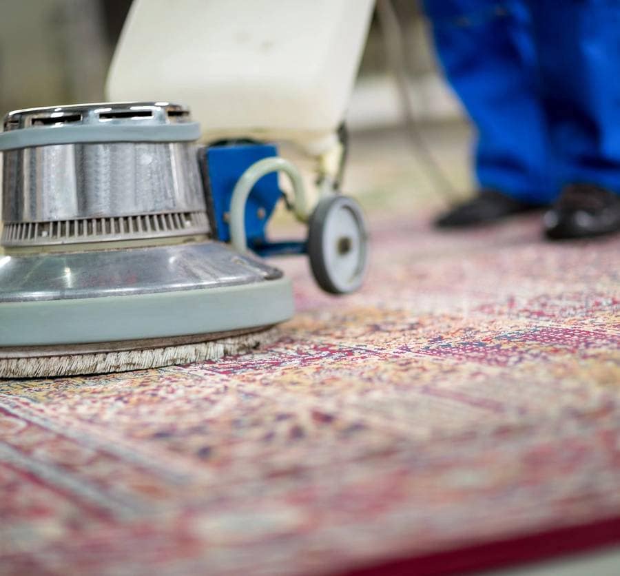 professional rug steam cleaning