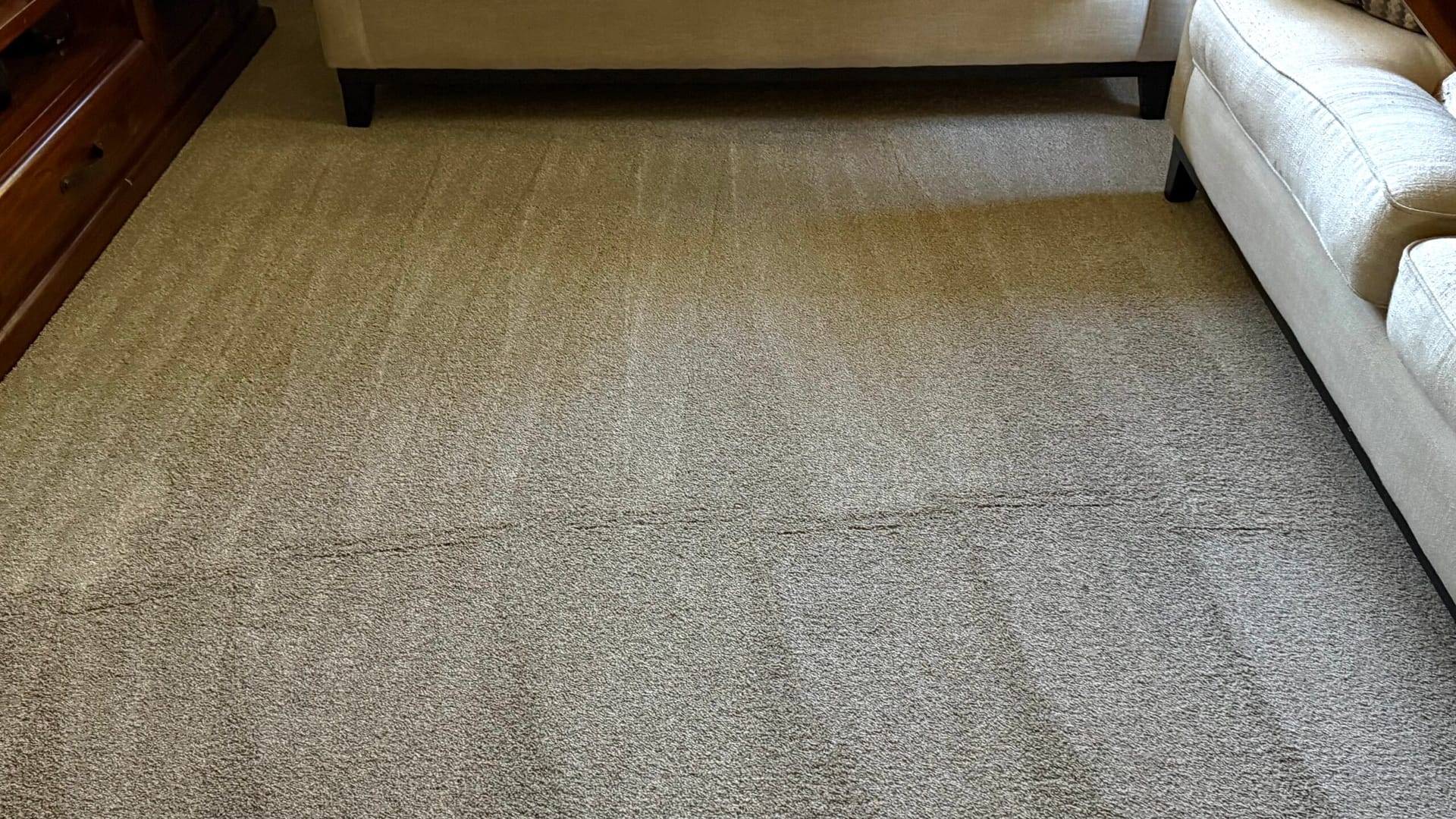 Professional rug cleaning results